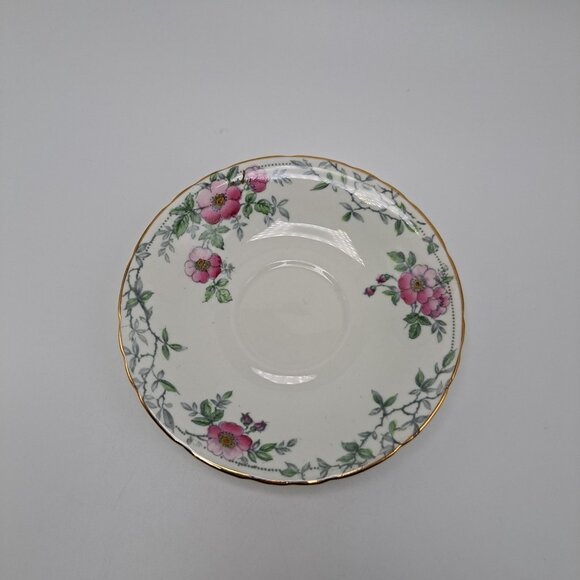 Delphine Wild Rose Teacup and Saucer - Picture 11 of 14